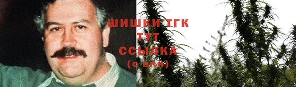 спиды Инта