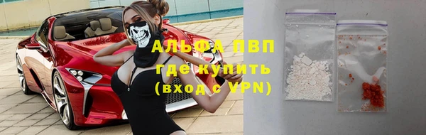 спиды Инта