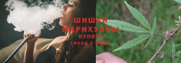 ПСИЛОЦИБИНОВЫЕ ГРИБЫ Иннополис