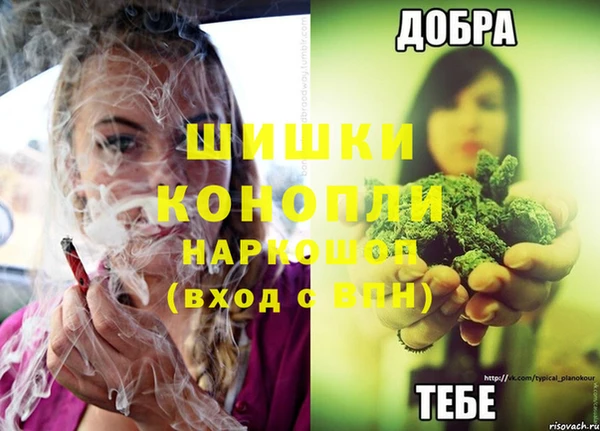 спиды Инта