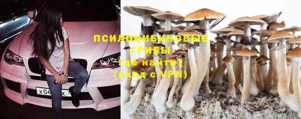 не бодяженный Инсар